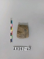 藏品(磨製石斧)的圖片